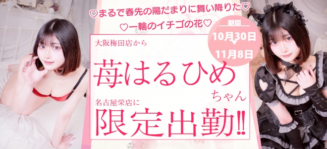 【栄】苺はるひめ限定